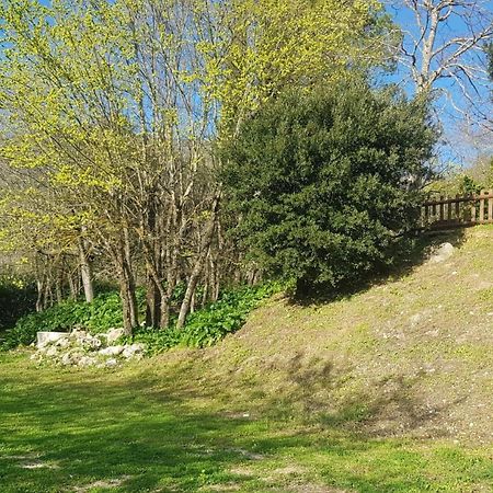 Domus Antiqua Bed & Breakfast Spello Exterior foto