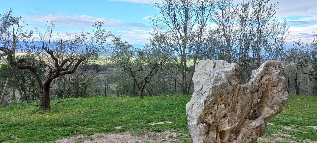 Domus Antiqua Bed & Breakfast Spello Exterior foto