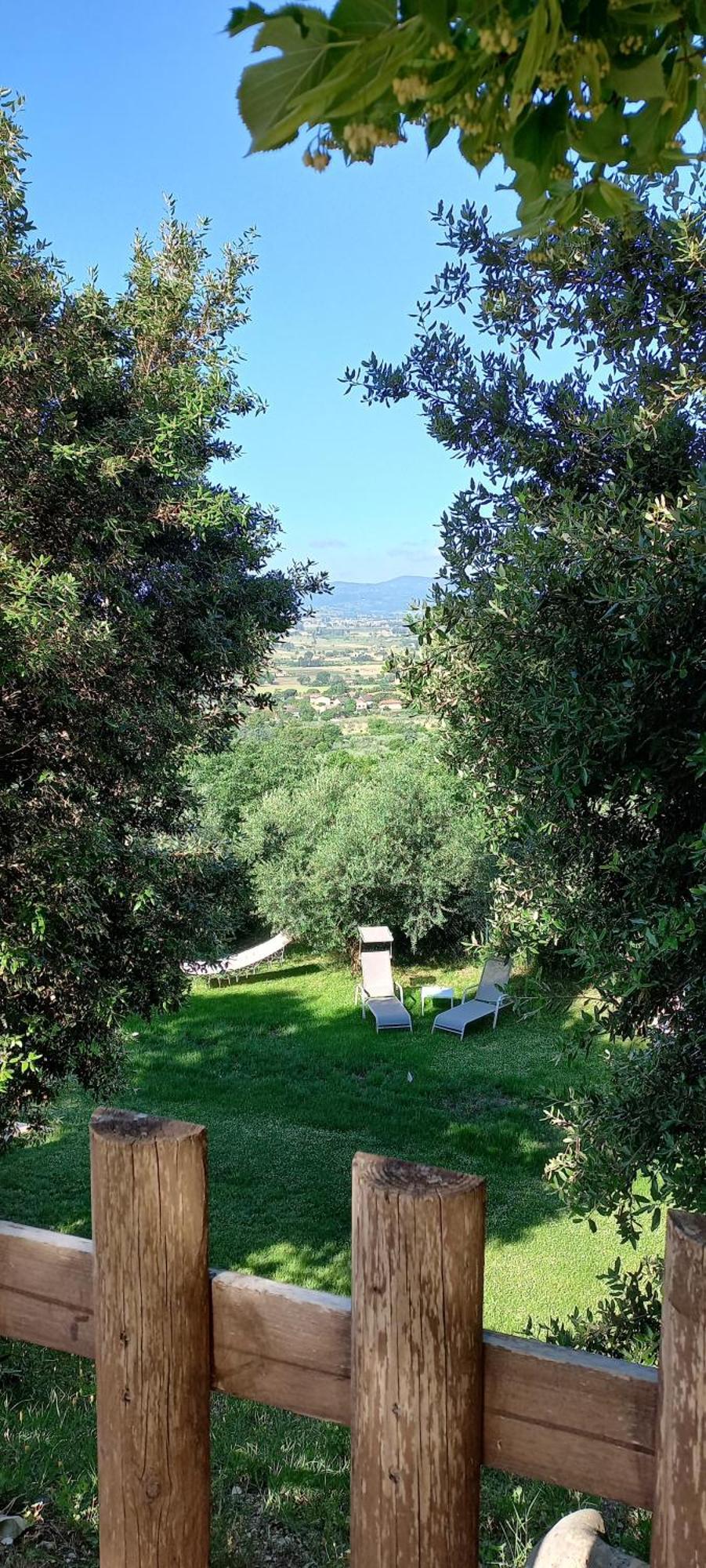Domus Antiqua Bed & Breakfast Spello Exterior foto