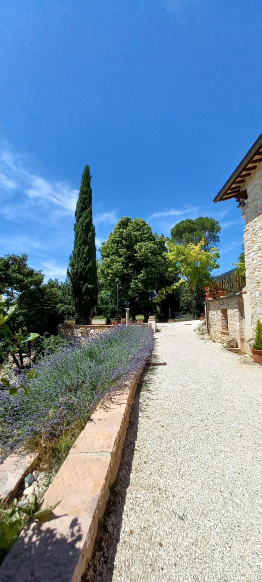 Domus Antiqua Bed & Breakfast Spello Exterior foto