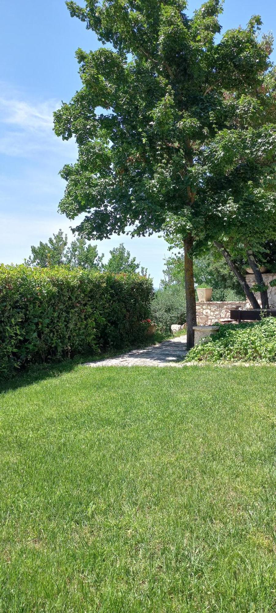 Domus Antiqua Bed & Breakfast Spello Exterior foto