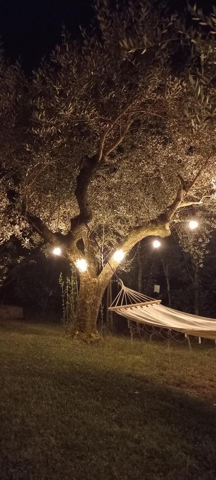 Domus Antiqua Bed & Breakfast Spello Exterior foto